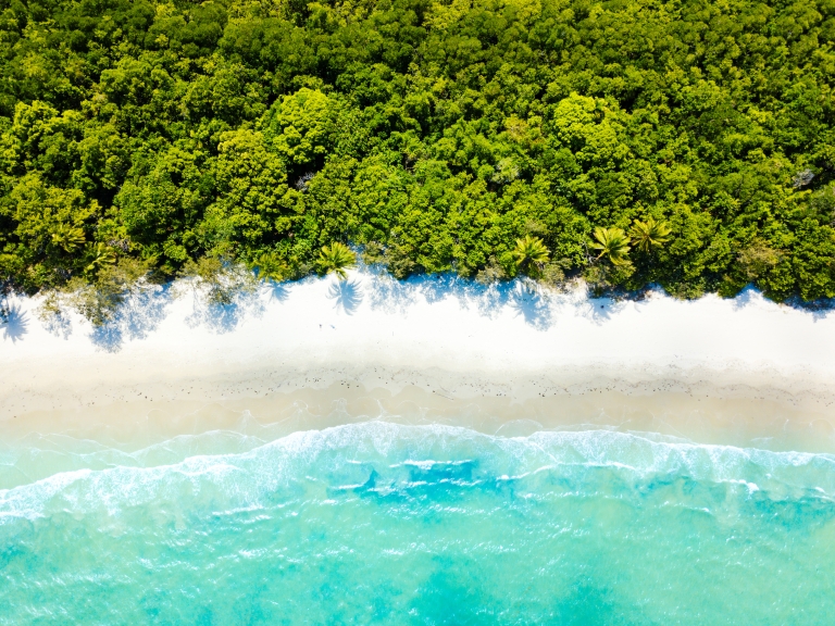 Beach meets rainforest Queensland